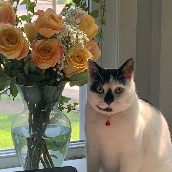 Meet your Posher, Jen - Picture 1 of 1